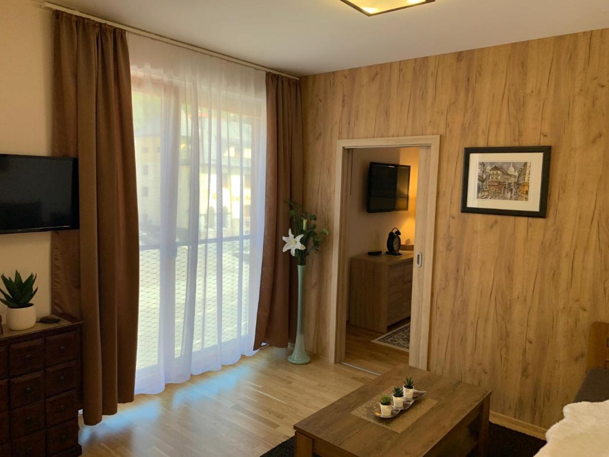 Apartmany Rezidence Klostermann & Javor Железна Руда Екстер'єр фото