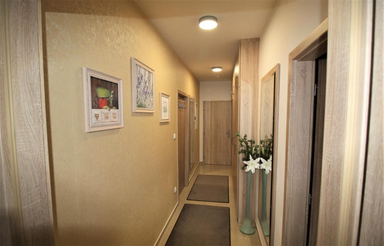 Apartmany Rezidence Klostermann & Javor Железна Руда Екстер'єр фото